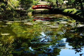 Pond and bridge in Ritsurin garden.