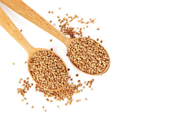 Buckwheat seeds in wooden spoon on a white background