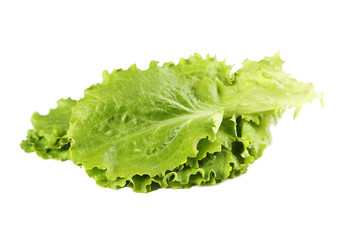 Fresh salad lettuce isolated on a white