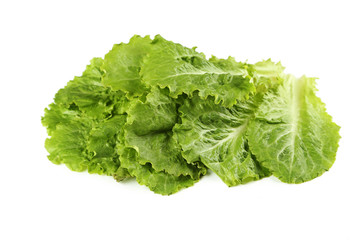 Fresh salad lettuce isolated on a white