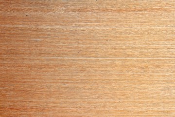 Fototapeta premium Wood background