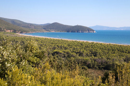 Fototapeta Parco naturale della Maremma