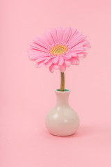 Pretty soft pink gerber daisy flower in a small white vase on a pink background