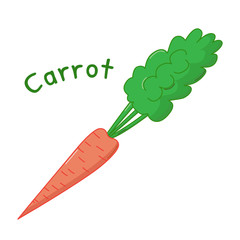 Isolated carrot icon