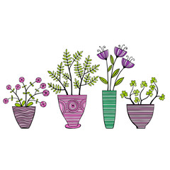 Beautiful Flowers In Pots. Vector Illustration.