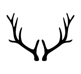 Deer antlers. Horns icon isolated on white background.