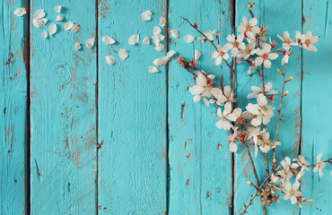 abstract image of spring white cherry blossoms tree on blue wooden table