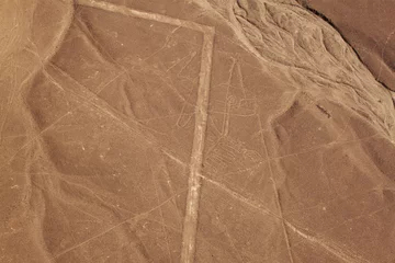 Foto op Canvas Aerial view of the Nazca Lines - whale © Den