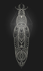 beautiful card vector