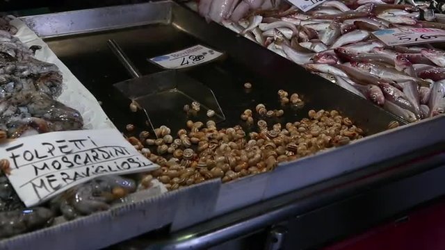 Locked-on shot of fresh seafood for sale at a market, Venice, Veneto, Italy
