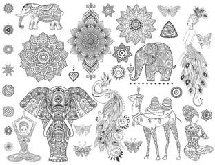 Ornamental set with animal, mandala vector. Element for design and Declaration.