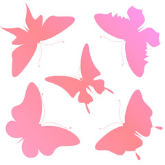 butterflies design