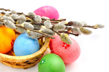 Colorful easter eggs and branches of willow on white background