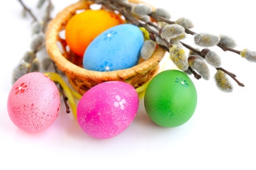 Colorful easter eggs and branches of willow on white background