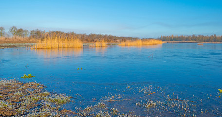 Shore of a lake in sunlight in winter
