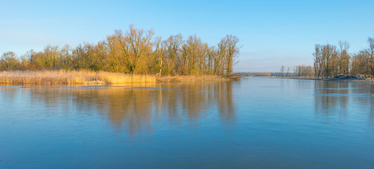 Shore of a lake in sunlight in winter