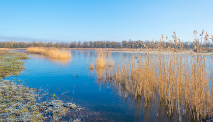 Shore of a lake in sunlight in winter