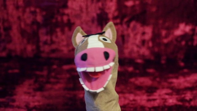 Crazy plush horse head managed by hand. Funny antics, faces. Red background