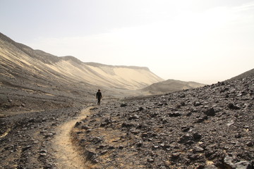 Exploring volcanic rock, Egypt