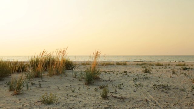 Sunset on the beach. White sand and tall grass. Natural sound