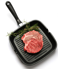 Bos taurus Bees گاو Корова ウシ गाय গরু 소  Hausrind Szarvasmarha Sığır วัว 家牛 Bydło domowe Scottona Nauta בקר הבית