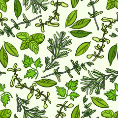 Seamless pattern with herbs. Rosemary, basil, parsley, thyme, bay leaf, marjoram.