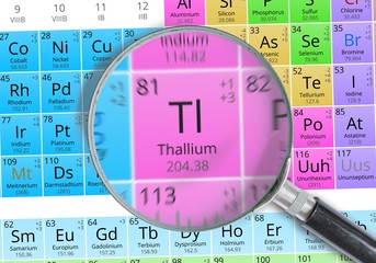 Thallium - Element of Mendeleev Periodic table magnified with magnifying glass