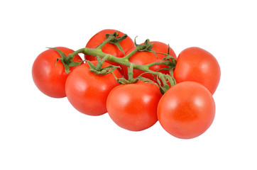 Tomato