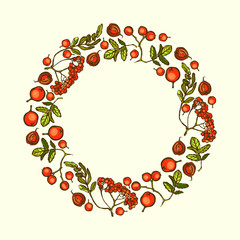 Frame for your design with berries of mountain ash.