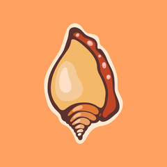 Sea shell. Mollusk. Wildlife.