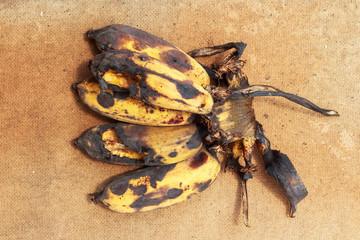 Fruits, Bunch of Black Ripen Wild Banana, Asian Banana or Cultivated Banana on A Wooden Cutting Board.