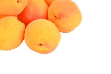 Apricot