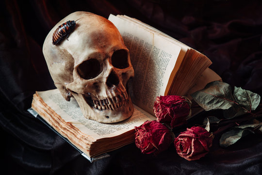 Gothic still life with skull