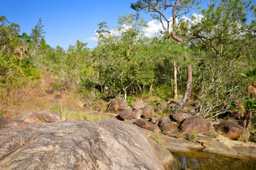 Fototapeta na wymiar Rio on Pools in Mountain Pine Ridge Forest Reserve, Belize