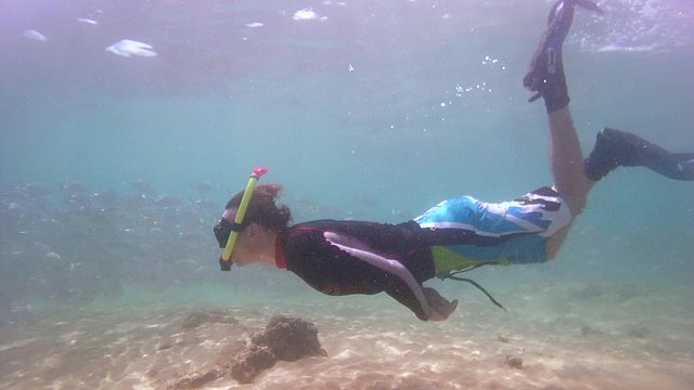man swims through a large school of fish Bigeye trevally (Caranx sexfasciatus), Indian Ocean, Hikkaduwa, Sri Lanka, South Asia
