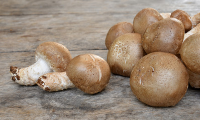 Mushroom on a wooden floor