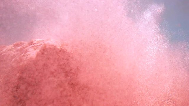 octopus cleans the sand from the tap his hole, Indian Ocean, Hikkaduwa, Sri Lanka, South Asia
