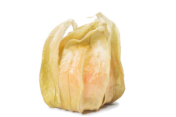 cape gooseberry isolate on white
