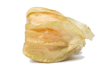 cape gooseberry isolate on white
