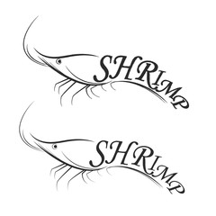 shrimp logo . Vector shrimp sketch for your design.