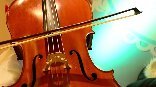  violin