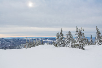 Beautiful winter landscape.