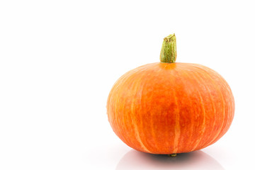 Fresh orange pumpkin.