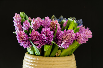 nice spring flowers
