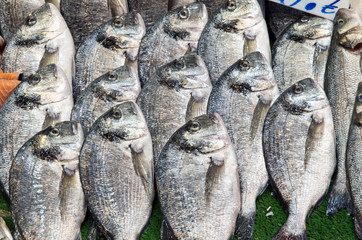 Fresh bream for sale at a market in Turkey