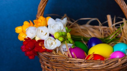 Easter eggs and freesia in basket