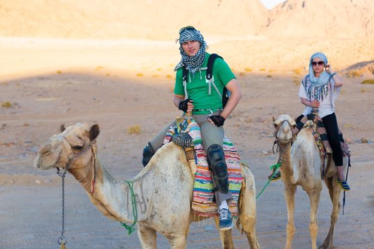 tour camel Egypt