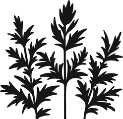 floral composition plants and leaves