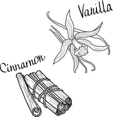 vanilla and cinnamon