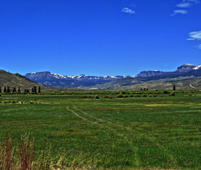 Dubois Wyoming pasture / farming field with Absaroka Mountain range in the background